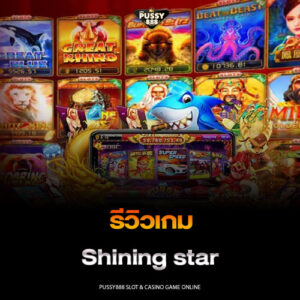 รีวิวเกม Shining star